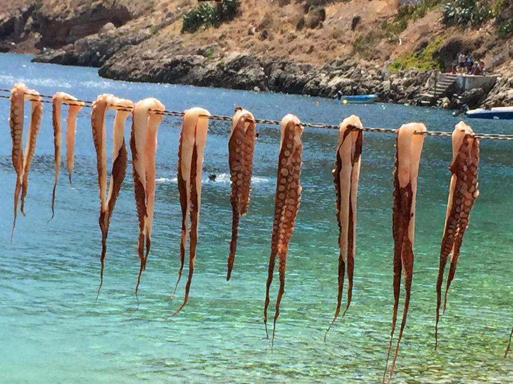 ホテル Pyrgoi Theodorakaki: O ゲロリメナス エクステリア 写真